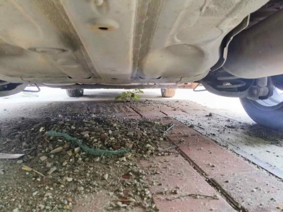 [广州·粤S] 二手本田锋范2015款 1.5L CVT舒适版