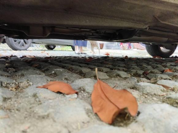 [苏州·苏E] 二手大众朗行2013款 1.4TSI 自动舒适型
