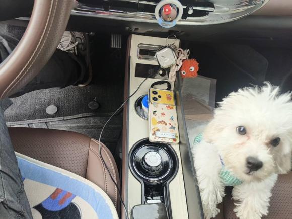 [合肥·皖A] 二手五菱汽车五菱缤果2023款 333km 悦享+款