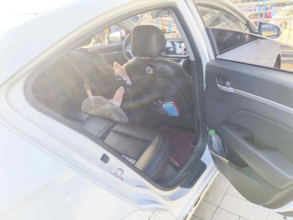 [合肥·皖A] 二手现代领动2016款 1.6L 手动智炫·活力型