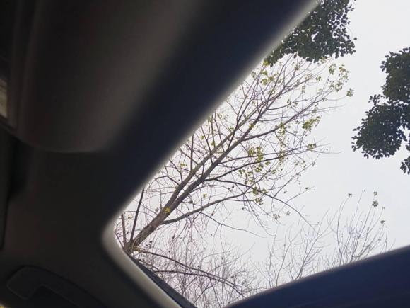 [成都·川G] 二手大众朗逸2022款 280TSI DSG舒适版