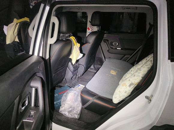 [芜湖·皖B] 二手捷途山海捷途山海T12024款 150km 向海