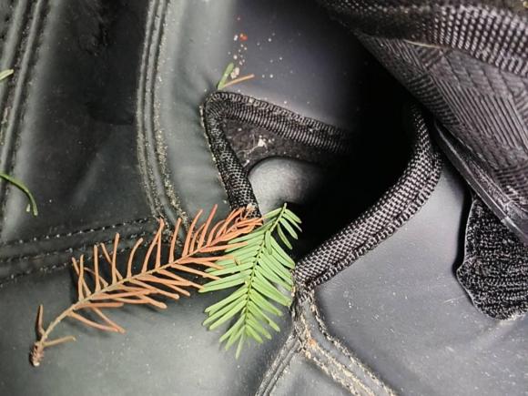 [杭州·浙A] 二手雪佛兰迈锐宝XL2019款 Redline 550T 自动锐动版