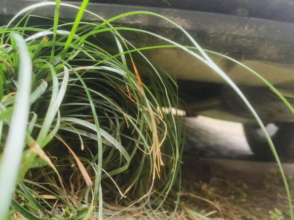 [上海·沪B] 二手别克君威2014款 2.0L 精英时尚型