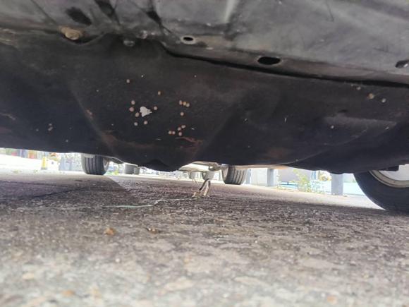 [深圳·粤N] 二手福特福睿斯2017款 幸福版 1.5L 自动时尚型