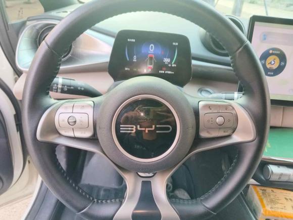 [深圳·粤B] 二手比亚迪海豚2024款 荣耀版 420km 自由版