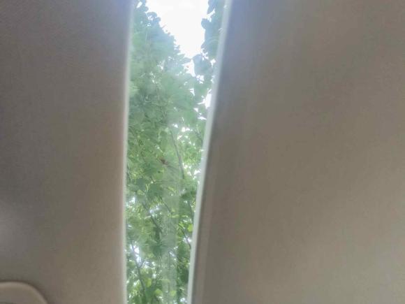 [合肥·皖A] 二手凯迪拉克凯迪拉克XTS2015款 28T 精英型