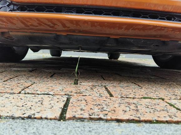 [合肥·苏U] 二手奥迪奥迪TTS2011款 TTS Coupe 2.0TFSI quattro