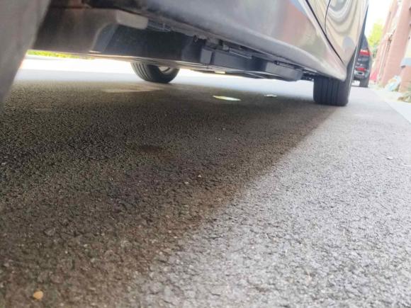 [青岛·鲁U] 二手丰田凯美瑞2021款 2.0G 豪华版