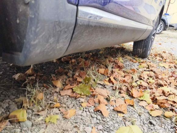 [青岛·鲁B] 二手长安长安CS85 COUPE2019款 1.5T DCT型版 国VI