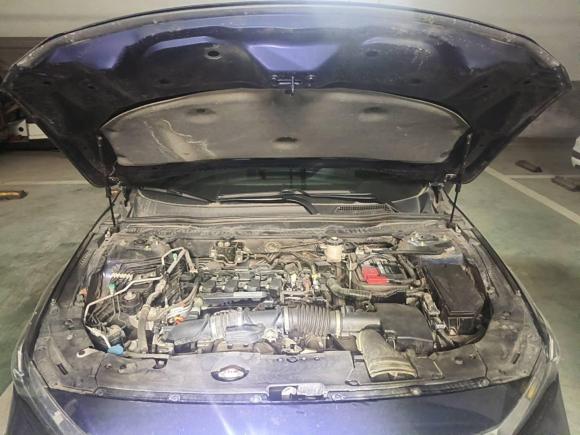 [南昌·赣A] 二手本田英仕派2019款 260TURBO 精致版 国VI