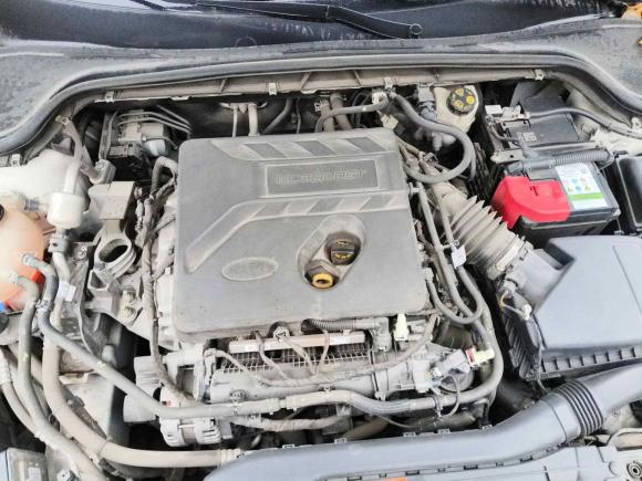 [义乌·浙G] 二手福特福克斯2019款 三厢 EcoBoost 180 自动ST Line