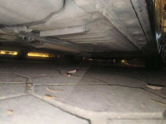 [佛山·粤E] 二手日产轩逸2019款 1.6XV CVT智联尊享版 国V