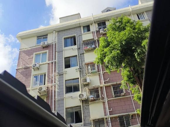 [上海·沪F] 二手宝马宝马3系2019款 320Li 时尚型