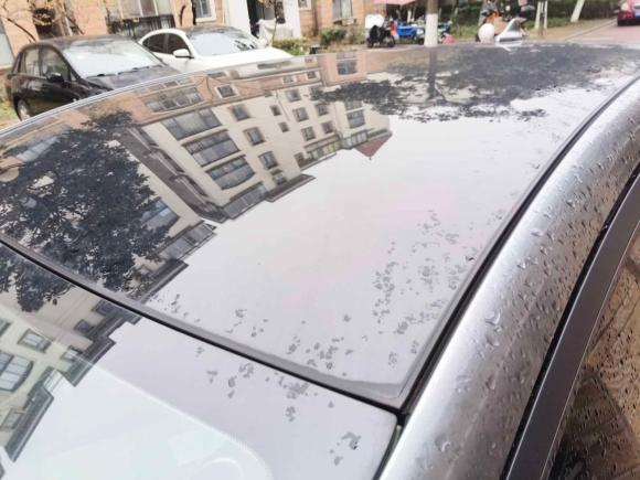 [苏州·苏E] 二手比亚迪海豚2021款 405km 时尚版