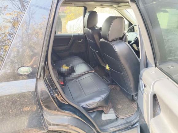 [武汉·鄂A] 二手路虎神行者22009款 3.2L