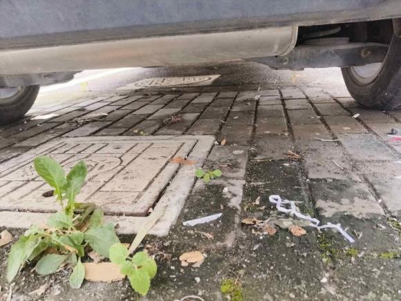 [苏州·苏E] 二手奥迪奥迪A32015款 Limousine 35 TFSI 百万纪念智领型