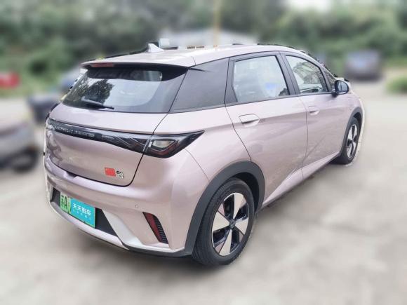 [南京·苏A] 二手比亚迪海豚2023款 420km 自由版