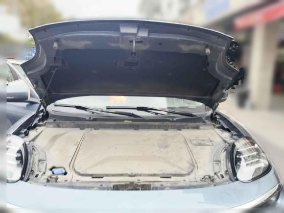 [上海·沪A] 二手奇瑞新能源大蚂蚁2020款 高能版