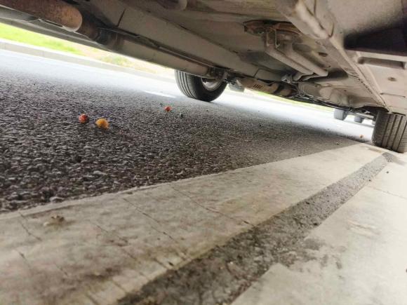 [南京·苏A] 二手本田奥德赛2007款 2.4L 标准版