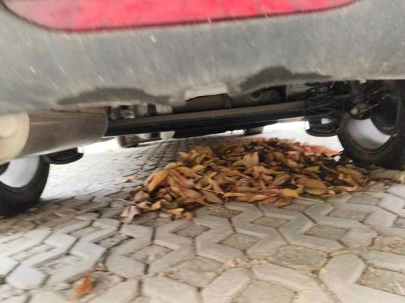 [上海·豫S] 二手奇瑞艾瑞泽5 PLUS2021款 小AI 1.5T 手动型PLUS