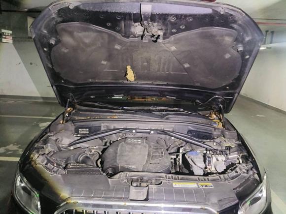 [上海·浙F] 二手奥迪奥迪Q52016款 40 TFSI 舒适型