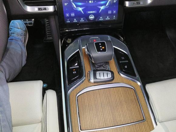 [武汉·鄂A] 二手红旗红旗E-HS92021款 510km 旗领版 四座