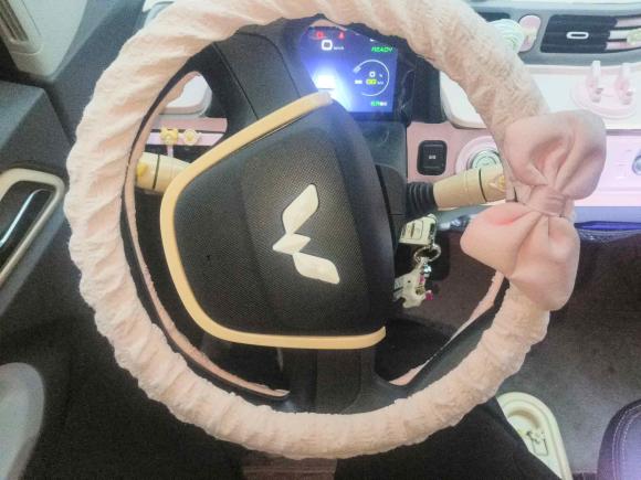 [嘉兴·浙F] 二手五菱汽车宏光MINIEV2021款 马卡龙时尚款 磷酸铁锂