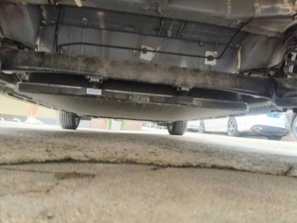 [上海·沪A] 二手比亚迪海豚2023款 420km 时尚版