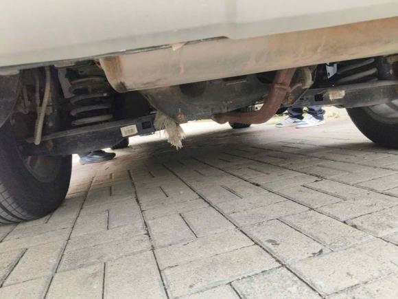 [济南·鲁A] 二手吉利汽车远景X62016款 1.3T CVT旗舰型