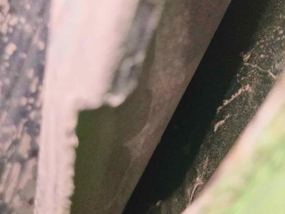 [广州·粤A] 二手本田奥德赛2009款 2.4L 豪华版