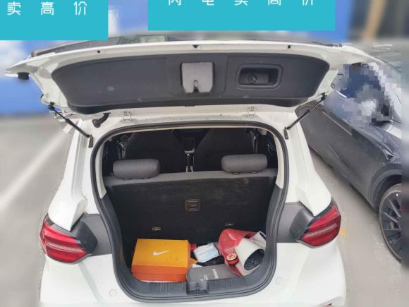 [合肥·皖A] 二手零跑汽车零跑T032020款 400轻享版