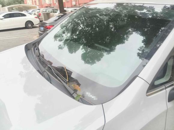 [上海·鲁W] 二手上汽大通MAXUS大通G502023款 1.5T 手动畅游B