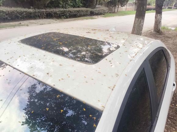 [南京·苏A] 二手别克英朗2018款 15T 双离合精英型 国V