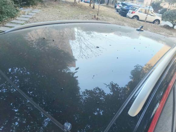 [上海·沪A] 二手大众ID.4 X2023款 升级款 纯净智享版