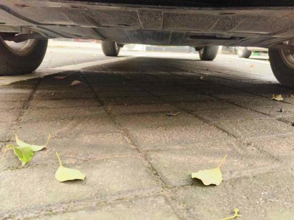 [宁波·浙B] 二手日产逍客2010款 20X雷 CVT 2WD