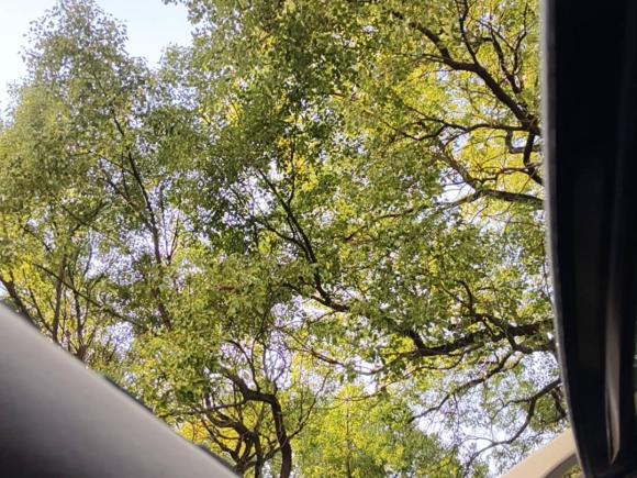 [上海·沪B] 二手雪佛兰科帕奇2015款 2.4L 四驱旗舰版 7座