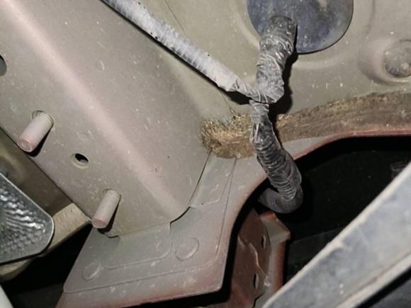 [广州·粤A] 二手哈弗哈弗大狗2021款 1.5T DCT两驱马犬版