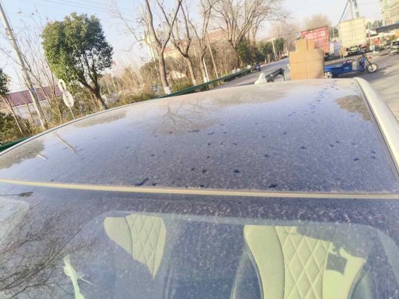 [上海·沪B] 二手比亚迪海豚2021款 405km 时尚版