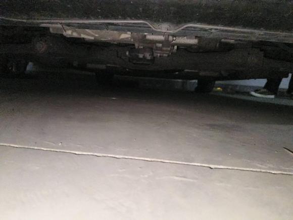 [上海·沪A] 二手欧拉欧拉白猫2020款 360km 豪华型