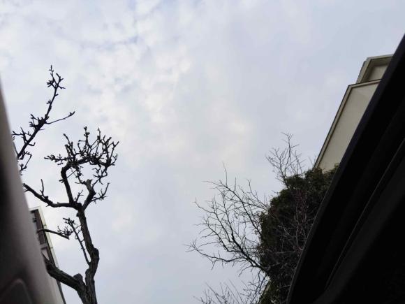 [上海·沪B] 二手宝马宝马5系2017款 525Li 豪华设计套装