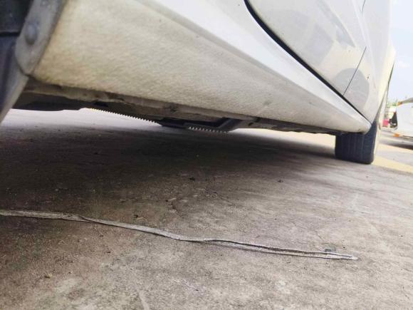 [温州·浙C] 二手奥迪奥迪A32014款 Limousine 35 TFSI 自动舒适型