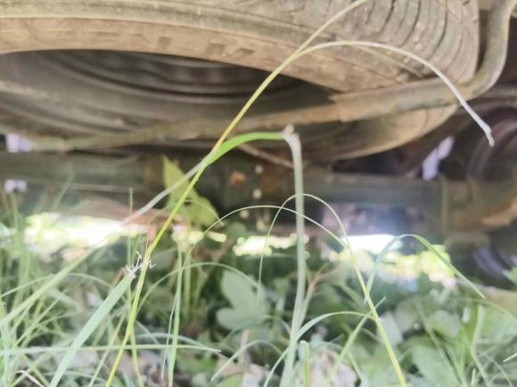 [广州·粤A] 二手五菱汽车五菱征程2021款 1.5T 手动舒适型封窗版