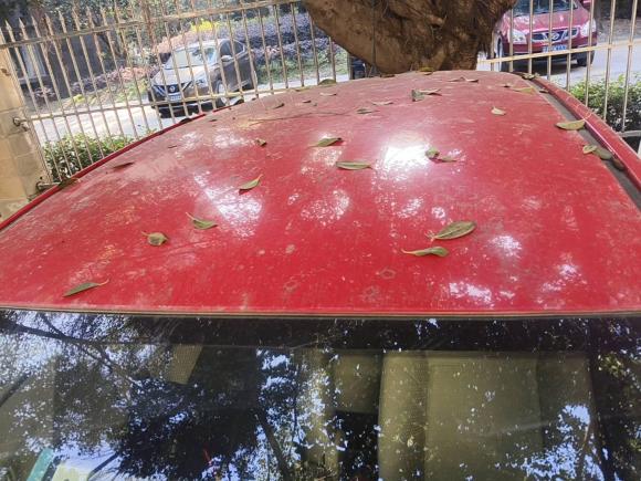 [成都·川A] 二手丰田雅力士2011款 1.6E 自动魅动版