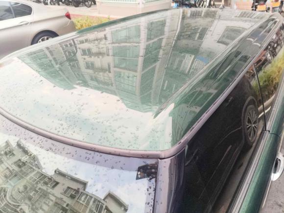 [北京·京Q] 二手MINIMINI CLUBMAN2011款 1.6L ONE