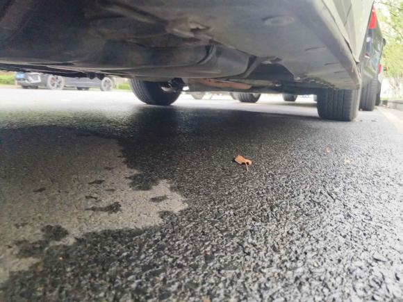 [合肥·皖A] 二手奥迪奥迪Q52012款 2.0TFSI 进取型