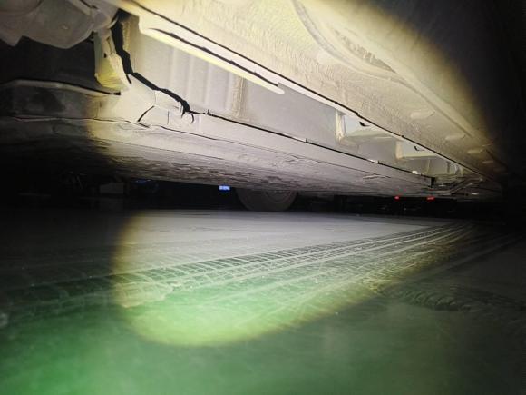 [成都·川A] 二手比亚迪海鸥2023款 自由版