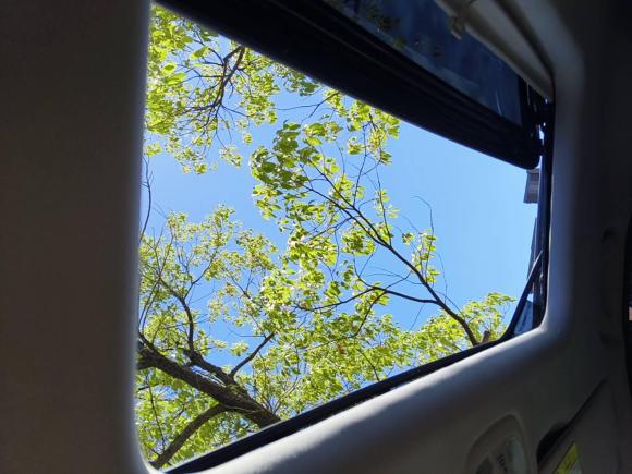 [上海·沪F] 二手上汽大通MAXUS大通G202020款 2.0T 柴油自动豪华行政版