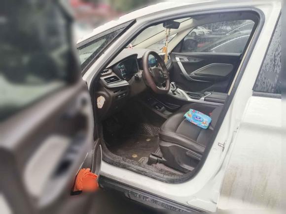 [成都·川A] 二手睿蓝汽车枫叶80v2021款 优行版 三元锂