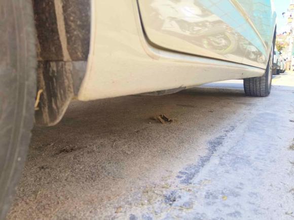 [上海·皖A] 二手大众途安2021款 途安L 280TSI DSG舒适版 7座